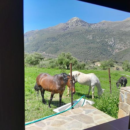El Higueron Villa Jimera de Líbar Exterior foto